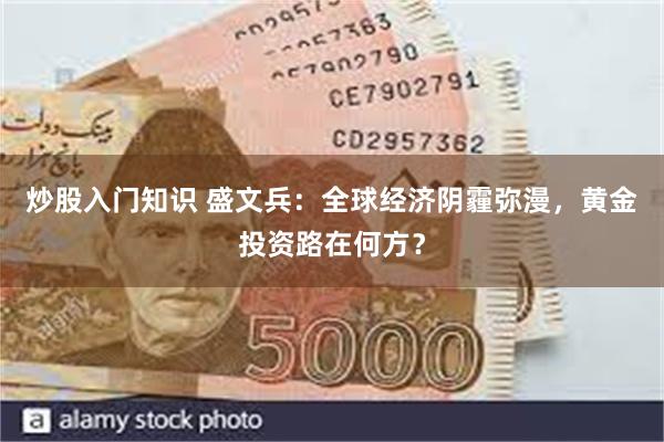 炒股入门知识 盛文兵：全球经济阴霾弥漫，黄金投资路在何方？