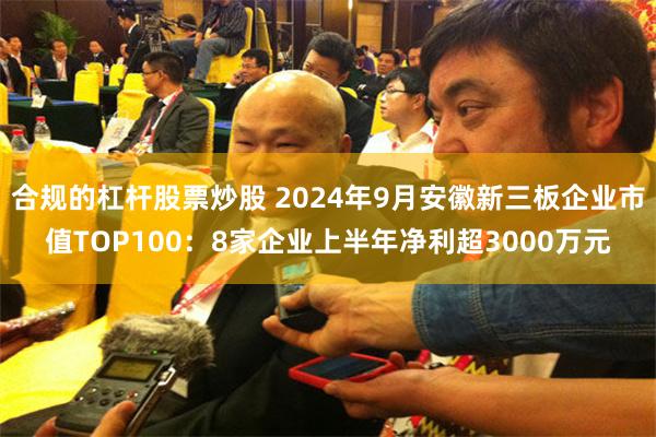 合规的杠杆股票炒股 2024年9月安徽新三板企业市值TOP100：8家企业上半年净利超3000万元