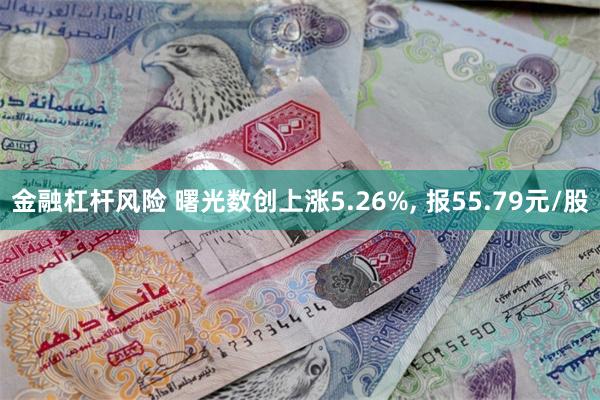 金融杠杆风险 曙光数创上涨5.26%, 报55.79元/股