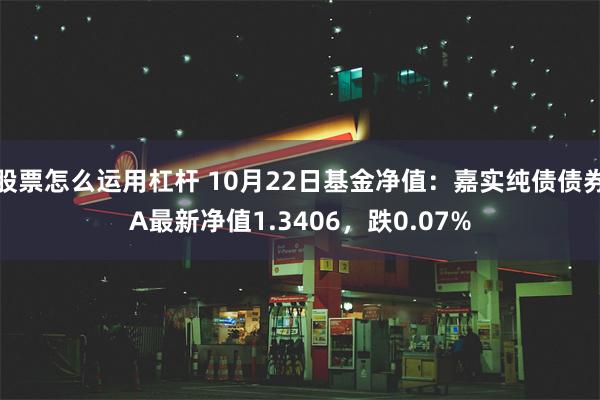 股票怎么运用杠杆 10月22日基金净值：嘉实纯债债券A最新净值1.3406，跌0.07%