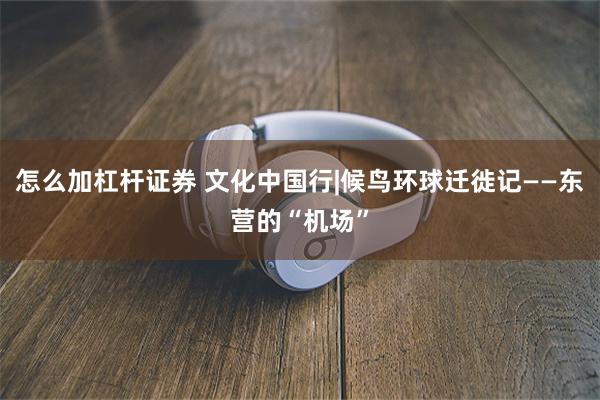 怎么加杠杆证券 文化中国行|候鸟环球迁徙记——东营的“机场”