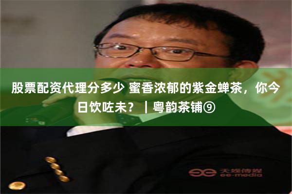 股票配资代理分多少 蜜香浓郁的紫金蝉茶，你今日饮咗未？｜粤韵茶铺⑨