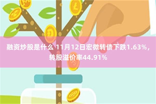 融资炒股是什么 11月12日宏微转债下跌1.63%，转股溢价率44.91%