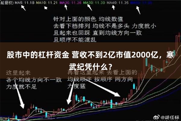 股市中的杠杆资金 营收不到2亿市值2000亿，寒武纪凭什么？