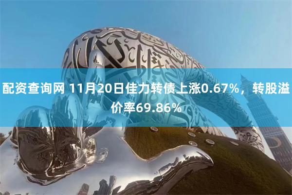 配资查询网 11月20日佳力转债上涨0.67%，转股溢价率69.86%