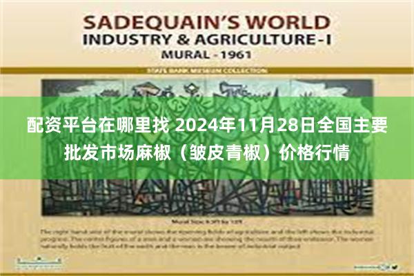 配资平台在哪里找 2024年11月28日全国主要批发市场麻椒（皱皮青椒）价格行情