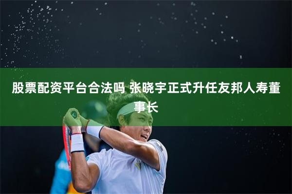 股票配资平台合法吗 张晓宇正式升任友邦人寿董事长